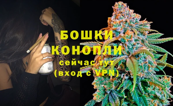 PSILOCYBIN Беломорск